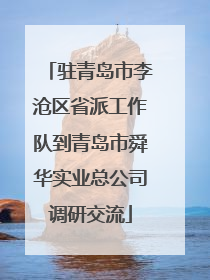 驻青岛市李沧区省派工作队到青岛市舜华实业总公司调研交流