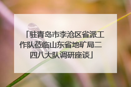 驻青岛市李沧区省派工作队莅临山东省地矿局二四八大队调研座谈