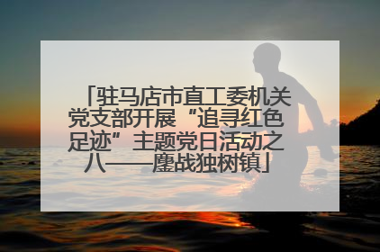 驻马店市直工委机关党支部开展“追寻红色足迹”主题党日活动之八——鏖战独树镇