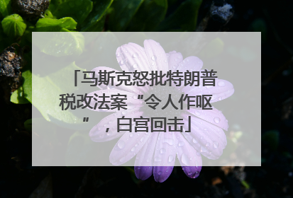 马斯克怒批特朗普税改法案“令人作呕”，白宫回击