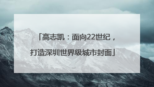 高志凯：面向22世纪，打造深圳世界级城市封面