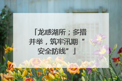 龙感湖所；多措并举，筑牢汛期“安全防线”