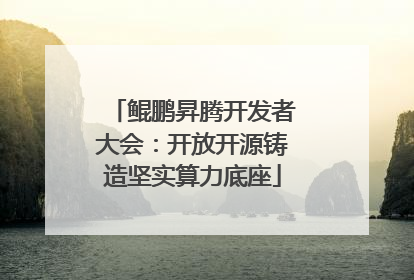 鲲鹏昇腾开发者大会：开放开源铸造坚实算力底座