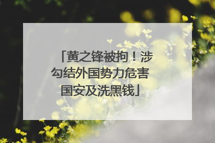 黄之锋被拘！涉勾结外国势力危害国安及洗黑钱