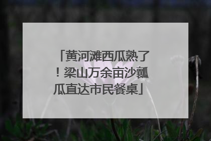 黄河滩西瓜熟了！梁山万余亩沙瓤瓜直达市民餐桌