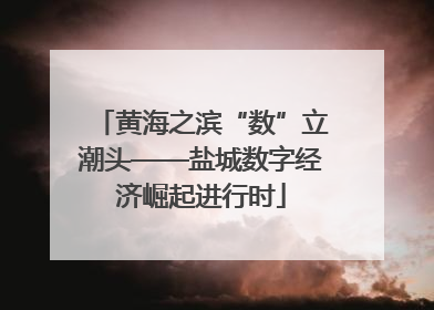 黄海之滨“数”立潮头——盐城数字经济崛起进行时