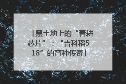 黑土地上的“春耕芯片”：“吉科稻518”的育种传奇