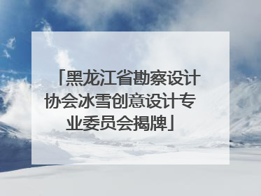 黑龙江省勘察设计协会冰雪创意设计专业委员会揭牌