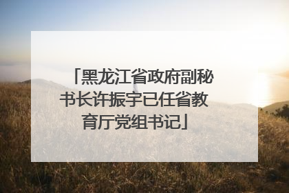 黑龙江省政府副秘书长许振宇已任省教育厅党组书记