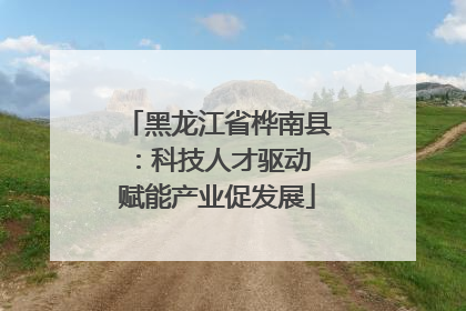 黑龙江省桦南县：科技人才驱动 赋能产业促发展