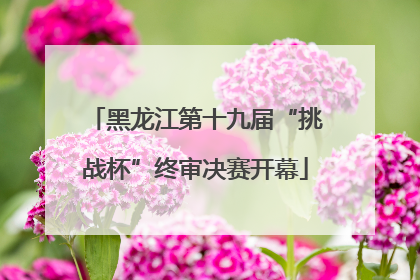 黑龙江第十九届“挑战杯”终审决赛开幕