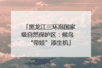 黑龙江三环泡国家级自然保护区：候鸟“带娃”添生机
