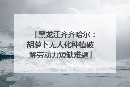 黑龙江齐齐哈尔：胡萝卜无人化种植破解劳动力短缺难题