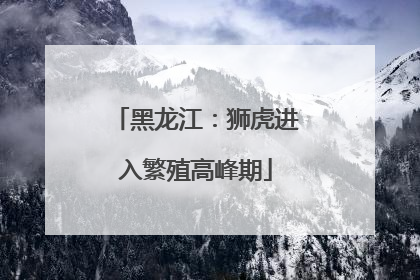 黑龙江：狮虎进入繁殖高峰期