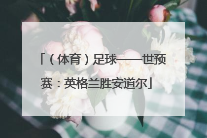 （体育）足球——世预赛：英格兰胜安道尔