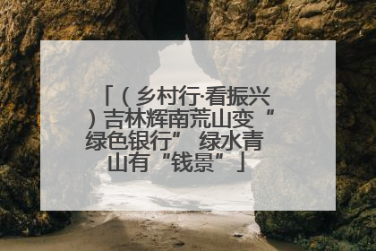 （乡村行·看振兴）吉林辉南荒山变“绿色银行” 绿水青山有“钱景”