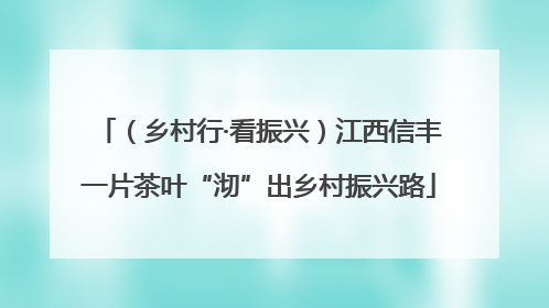 （乡村行·看振兴）江西信丰一片茶叶“沏”出乡村振兴路