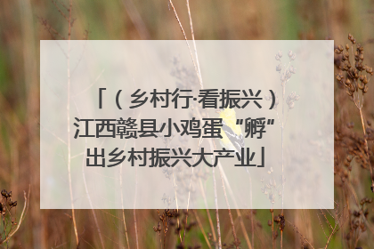 （乡村行·看振兴）江西赣县小鸡蛋“孵”出乡村振兴大产业