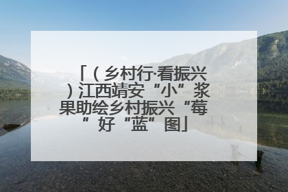 （乡村行·看振兴）江西靖安“小”浆果助绘乡村振兴“莓”好“蓝”图