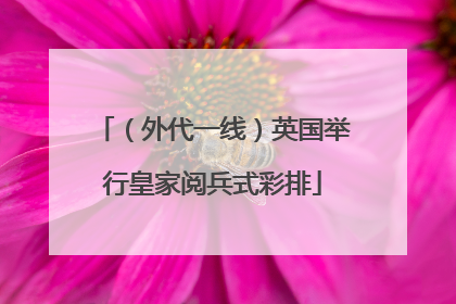 （外代一线）英国举行皇家阅兵式彩排