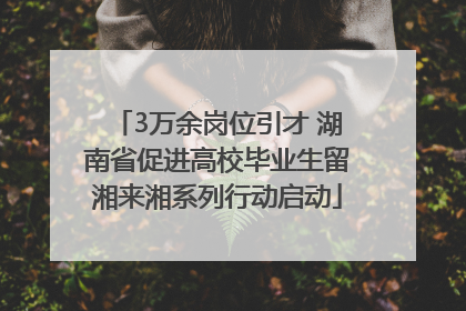 3万余岗位引才 湖南省促进高校毕业生留湘来湘系列行动启动