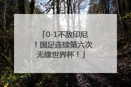 0-1不敌印尼！国足连续第六次无缘世界杯！
