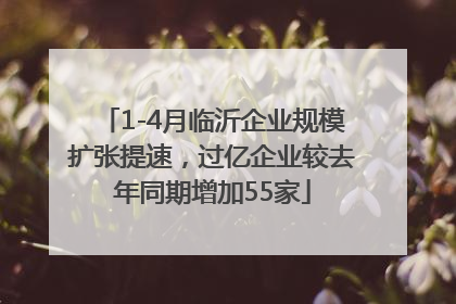 1-4月临沂企业规模扩张提速，过亿企业较去年同期增加55家