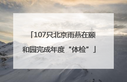107只北京雨燕在颐和园完成年度“体检”