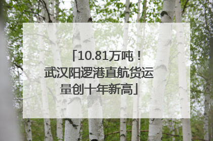 10.81万吨！武汉阳逻港直航货运量创十年新高