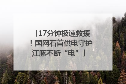 17分钟极速救援！国网石首供电守护江豚不断“电”