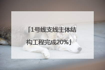 1号线支线主体结构工程完成20%