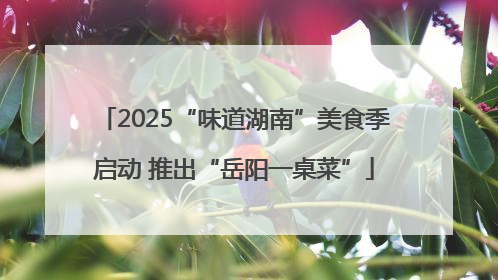 2025“味道湖南”美食季启动 推出“岳阳一桌菜”