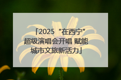 2025“在西宁”超级演唱会开唱 赋能城市文旅新活力