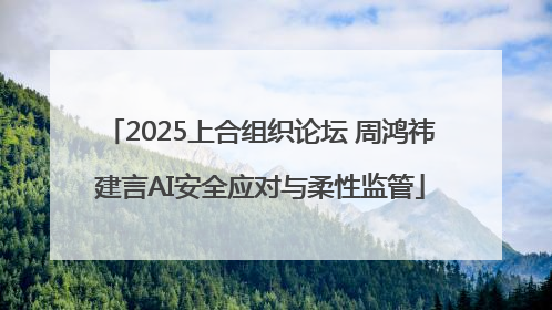 2025上合组织论坛 周鸿祎建言AI安全应对与柔性监管