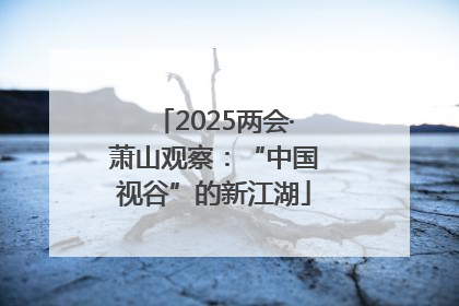 2025两会·萧山观察：“中国视谷”的新江湖