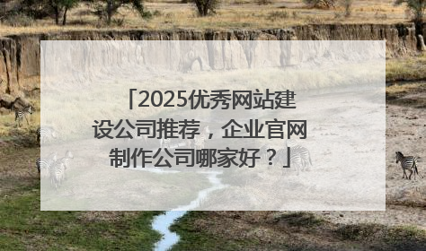 2025优秀网站建设公司推荐，企业官网制作公司哪家好？