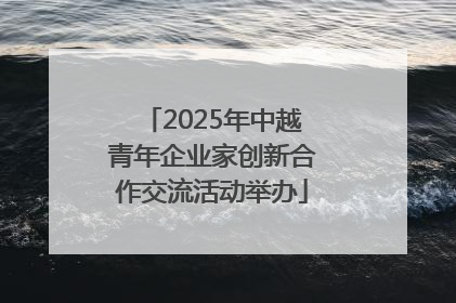 2025年中越青年企业家创新合作交流活动举办