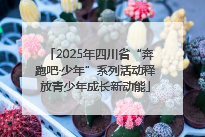 2025年四川省“奔跑吧·少年”系列活动释放青少年成长新动能