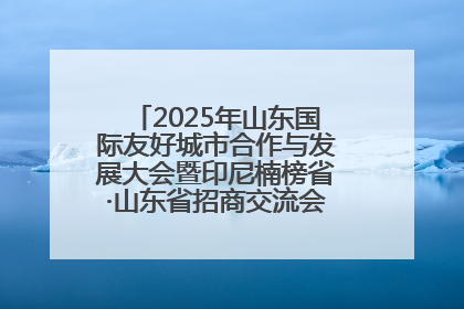 2025年山东国际友好城市合作与发展大会暨印尼楠榜省·山东省招商交流会在济南槐荫举行