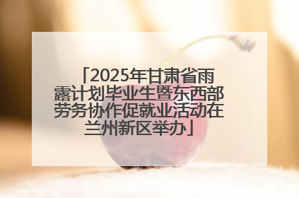 2025年甘肃省雨露计划毕业生暨东西部劳务协作促就业活动在兰州新区举办