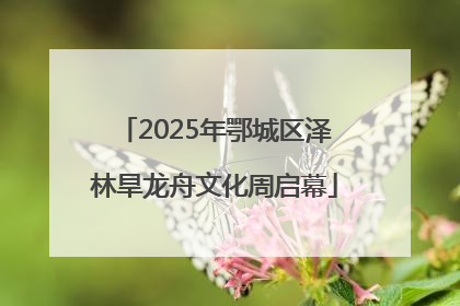 2025年鄂城区泽林旱龙舟文化周启幕
