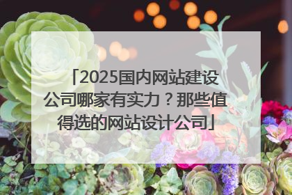 2025国内网站建设公司哪家有实力？那些值得选的网站设计公司