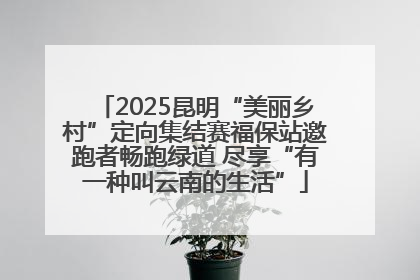 2025昆明“美丽乡村”定向集结赛福保站邀跑者畅跑绿道 尽享“有一种叫云南的生活”