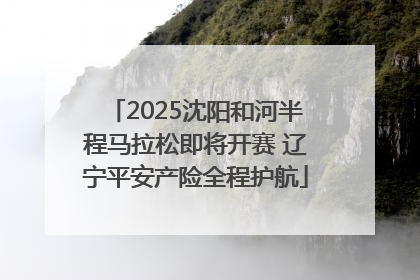 2025沈阳和河半程马拉松即将开赛 辽宁平安产险全程护航