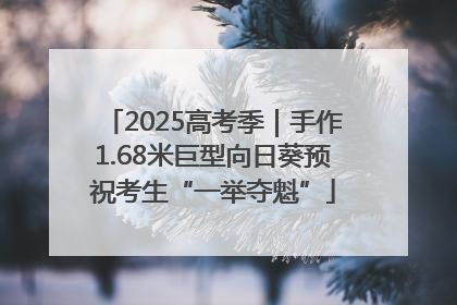 2025高考季｜手作1.68米巨型向日葵预祝考生“一举夺魁”