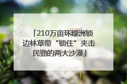 210万亩环绿洲锁边林草带“锁住”夹击民勤的两大沙漠