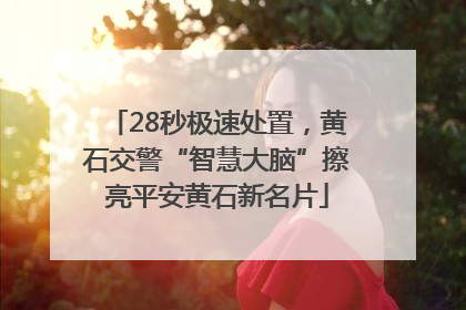 28秒极速处置，黄石交警“智慧大脑”擦亮平安黄石新名片