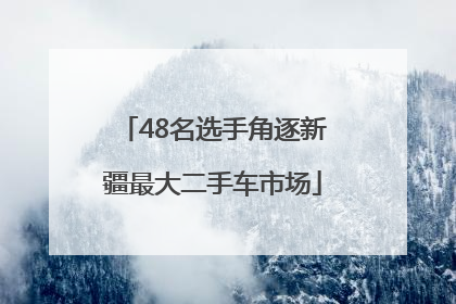 48名选手角逐新疆最大二手车市场