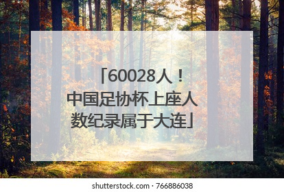 60028人！中国足协杯上座人数纪录属于大连