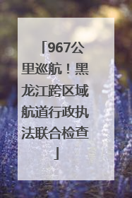 967公里巡航！黑龙江跨区域航道行政执法联合检查